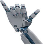 Robotic "Shaka" symbol. Shaka Web Design Services where every website is designed with Aloaha!